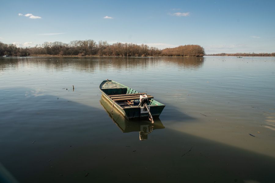Legende o Dunavu – da li biste smeli da uđete u reku u kojoj vrebaju vile ili nemani od skoro 2 tone?